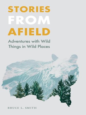 cover image of Stories from Afield